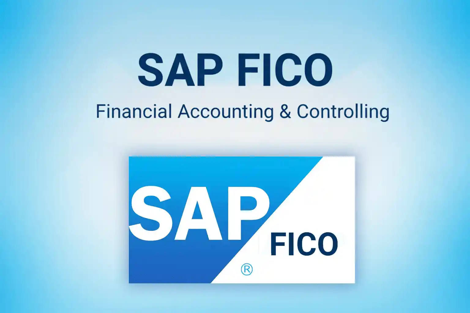 CERTIFICATE COURSE IN SAP FICO